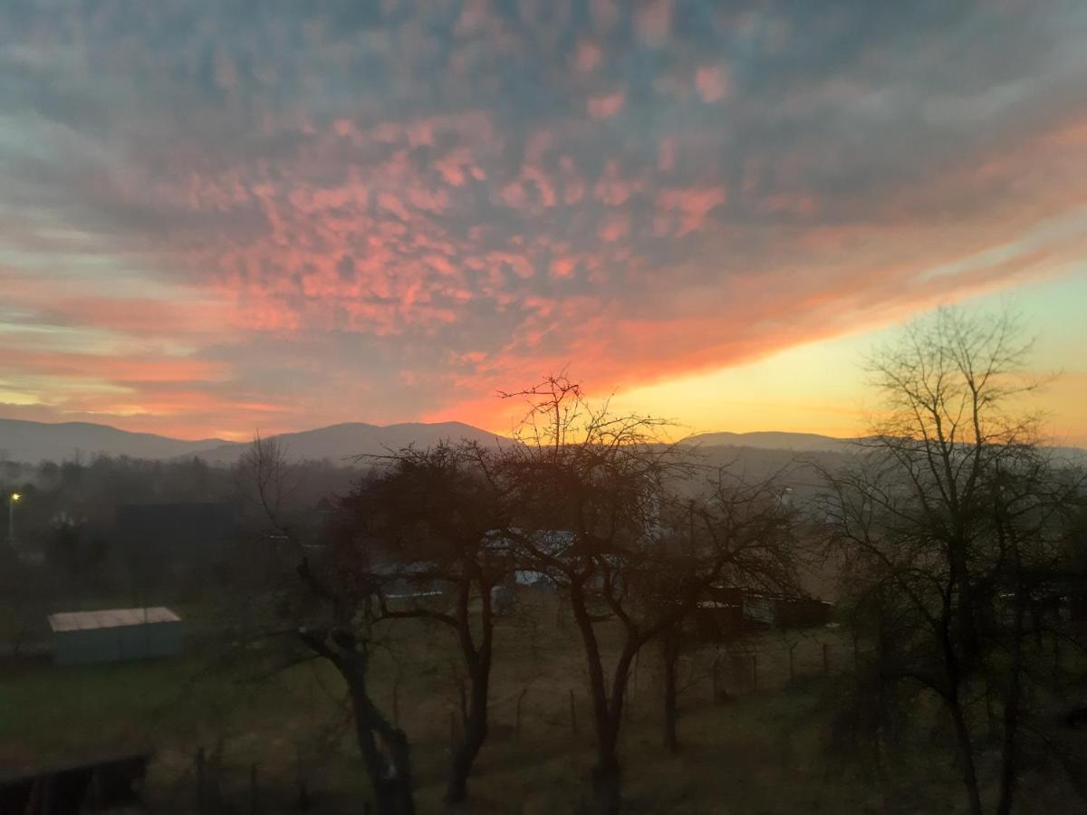 Willa Swit Makow Podhalanski Dış mekan fotoğraf
