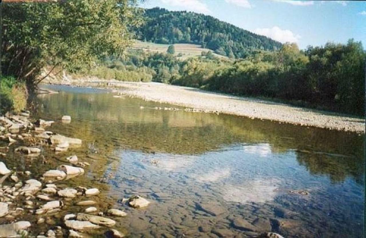 Willa Swit Makow Podhalanski Dış mekan fotoğraf